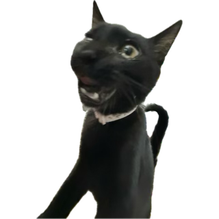 Black cat sticker with its mouth open